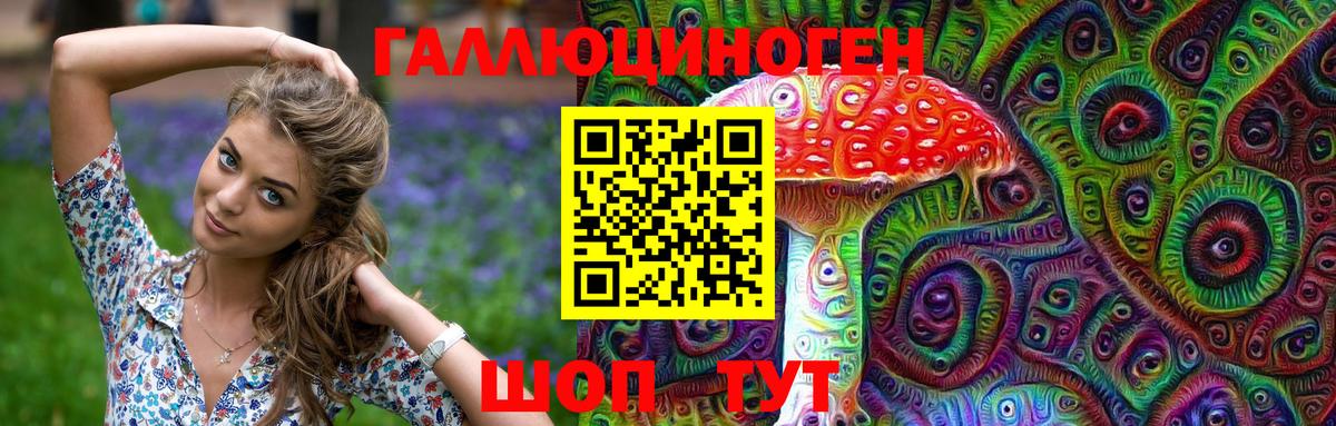 продажа наркотиков  Вход с VPN  Галлюциногенные грибы ЛСД  Сухой Лог  Галлюциногенные грибы GOLDEN TEACHER 
